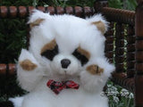 Dutch Holland  White Raccoon Stuffed Plush Toy