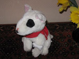 Old Vintage Pit bull Pitbull Dog with Bell