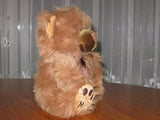 Struis Holland Brown My Teddy Bear