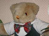 Merison Holland 12 Inch Dressed Boy Bear