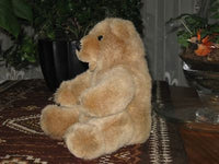 UK Woodland Bear Co Brown Bear Vinyl Nose