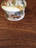 Royal Staffordshire UK Kittens Puppies Dish with Lid Bone China Art Pottery