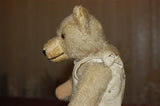 Antique Old August Müller Germany Teddy Bear 20s 30s White Mohair Humpback RARE