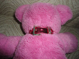 La Senza JACK & JODY Bear SET 2008 Canada 12th Annual Christmas Bears 13"  MINT