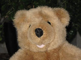 UK Woodland Bear Co Brown Bear Vinyl Nose