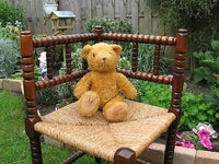 Dutch Holland 1980s Teddy Bear