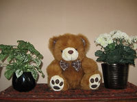 Promotional Co Switzerland Soft Teddy Bear Brown Plush 12 inch