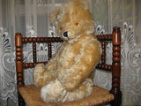 Antique Germany 1950s Yellow Mohair Bear Working Tilt Growler BIG 2 Ft Tall RARE