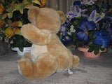 Primrose Holland Rare Vintage 13 Inch Teddy Bear