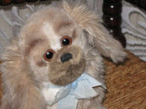 Steiff Germany Original Junior Pekingese Dog 2890/22  No id