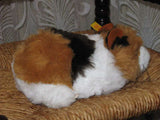 Steiff Swinny Guinea Pig 071850 20 cm Squeaker All ids