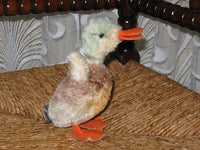Steiff Mohair Duck Ente 6311 4.3 inch 11 cm Button Felt beak