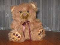 Struis Holland Brown My Teddy Bear