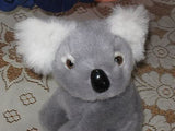 PIA Dutch Holland Sitting Grey KOALA Bear No Tag