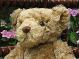 Merrythought Bruno Official RSPCA Bear and Russ Puddles