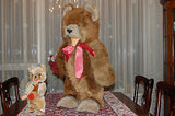 Hermann Germany Standing Teddy Baby Zotty Bear STUDIO WORLD LARGEST SIZE 23 Inch