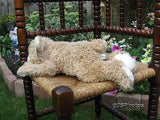 Richard Lang & Son UK Teddy Bear