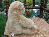 Wallace UK Small Brown Bear with open mouth