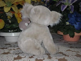 Family Shop Holland Koala Mom w Baby Bear on back