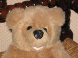 Vintage Woodland Bear Co Uk Masked Teddy Bear