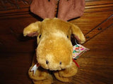 Chi Chi Collection Ottawa Canada Animals MOOSE