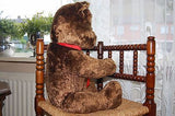 Antique Dutch Dark Brown Humpback Teddy Bear w Tongue 25 Inch Disc Jointed