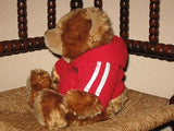 Eddy Toys Holland Hug Me Bear with Hoody Valentines Day 13 inch