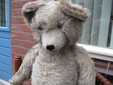 Antique 1930s Diem Germany Humpback Gray Mohair Bear w Growler JUMBO 2 ft 61 CM