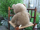 Parsons International Teddy Bear Rotterdam Holland