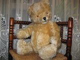 Antique Germany 1950s Yellow Mohair Bear Working Tilt Growler BIG 2 Ft Tall RARE