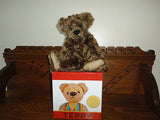 Antique Teddy Bear Picture Blocks Stacking Boxes Artist Sue Coe Faux Mohair