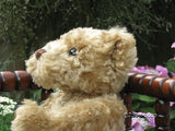 Merrythought Bruno Official RSPCA Bear and Russ Puddles