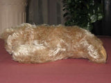 Steiff Floppy Zotty Mohair Bear 7317,00 1959 - 1964