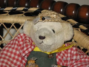 German Musical Bear with Honey Pot