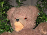 Hermann Soft  Zotty Bear 13 Inch  Dralon 1970s