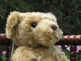Merrythought Bruno Official RSPCA Bear and Russ Puddles