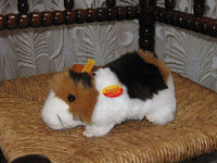 Steiff Swinny Guinea Pig 071850 20 cm Squeaker All ids