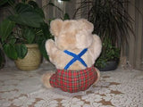 Kempenaar Holland Dutch Teddy Bear Plaid Clothing Beige 12 Inch