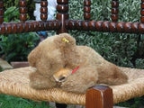 Steiff Floppy Teddy 20 CM 1978-1982 5700/20