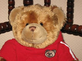 Eddy Toys Holland Hug Me Bear with Hoody Valentines Day 13 inch