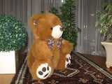 Promotional Co. SWITZERLAND Cute Brown Teddy Bear 12 inch