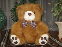 Promotional Co. SWITZERLAND Cute Brown Teddy Bear 12 inch