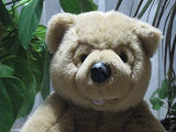 Woodland Bear Co UK 10 inch Masken Masked Teddy Bear Beige Sitting