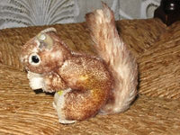 Steiff Eichhoernchen Perri Squirrel Mohair 4312,03 Shield & Button 12 cm