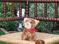 Steiff The Playful Bear Sitting 077296 2005