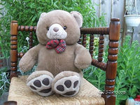 Parsons International Teddy Bear Rotterdam Holland