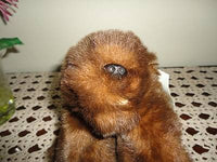 Ontario Parks Canada BEAVER 1988 Purr-fection MJC New with Tags Faux Fur Plush