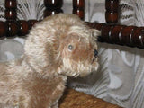 Steiff Vintage Mohair Standing Raudi Dachshund Dog 1317,07