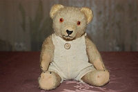 Antique Old August Müller Germany Teddy Bear 20s 30s White Mohair Humpback RARE