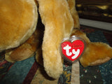 Classic Ty Beanie Original 18 in 2001 Sniffy the Hound All Tags ‎008421020430